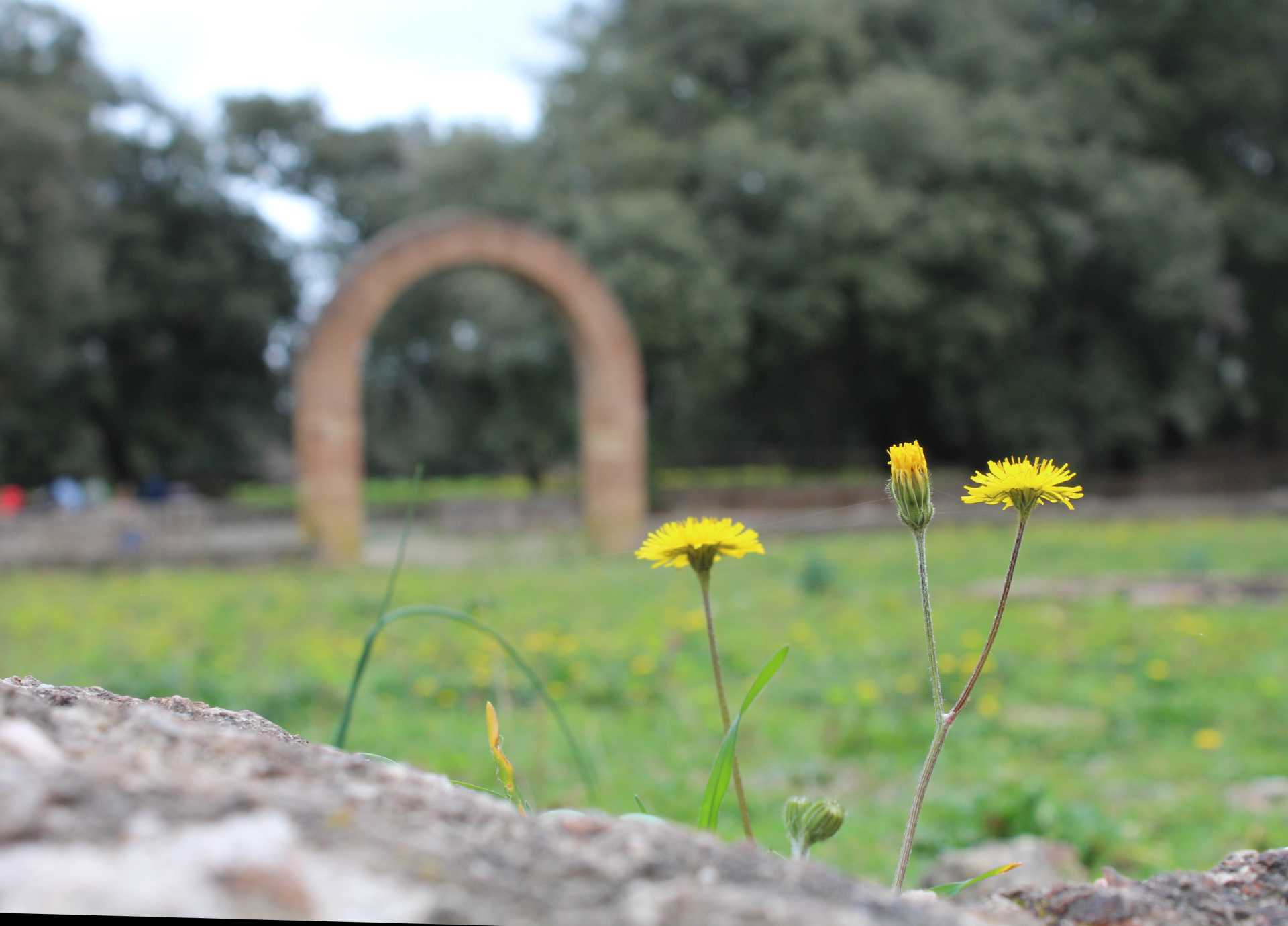 Ostia: un luogo pieno di storie, dove ho avuto lopportunit di  assaporare la mia citt